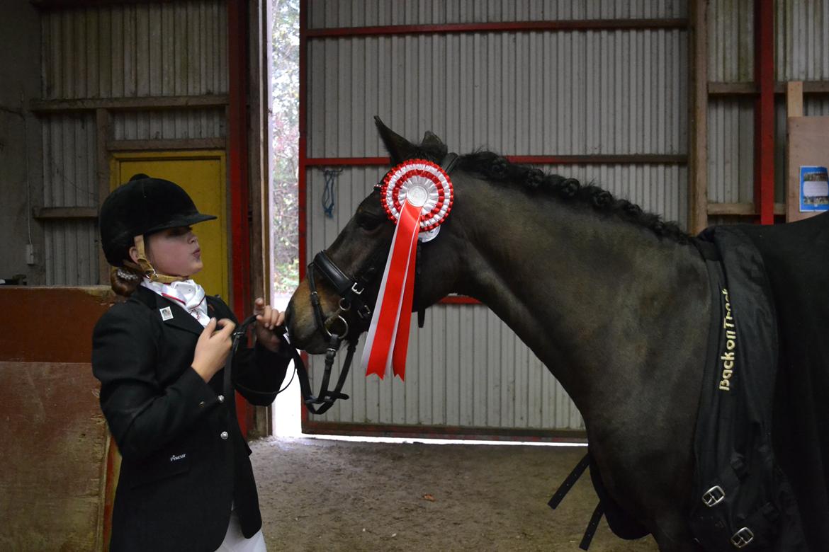 New Forest Søndermarken's Bojana billede 3