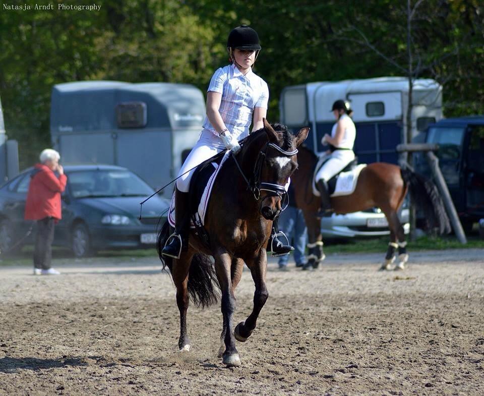 New Forest Søndermarken's Bojana billede 2