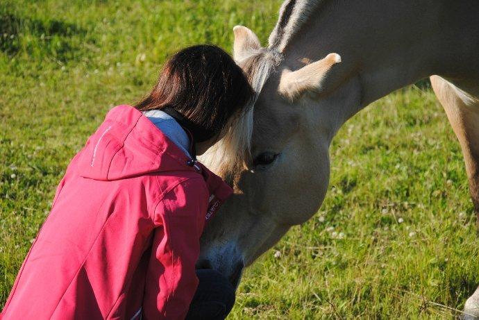 Fjordhest - Isabella af Hedegaard billede 2