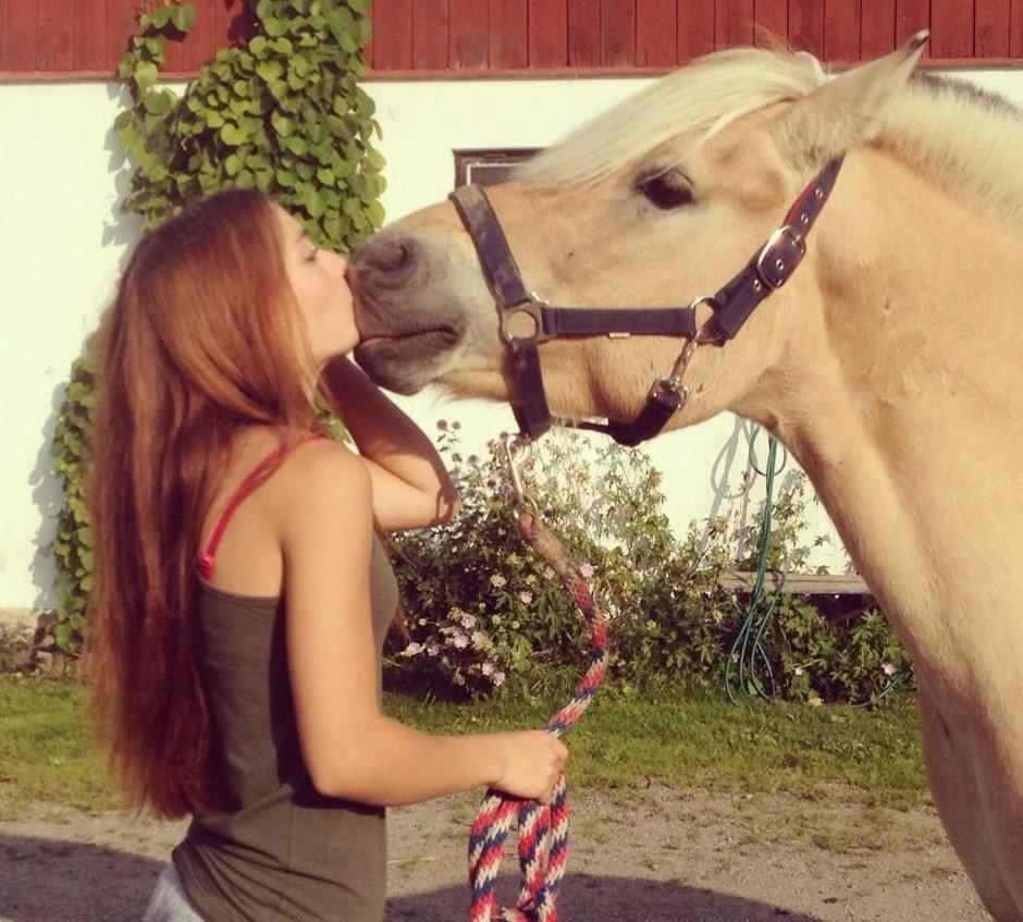 Fjordhest - Isabella af Hedegaard billede 10