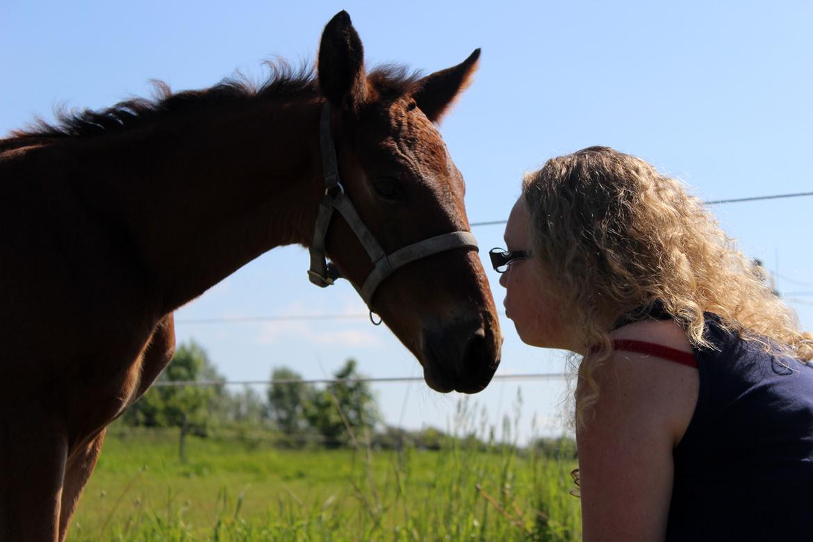 Anden særlig race Nautrup´s Kasmir - KYSSE KYSSE billede 1