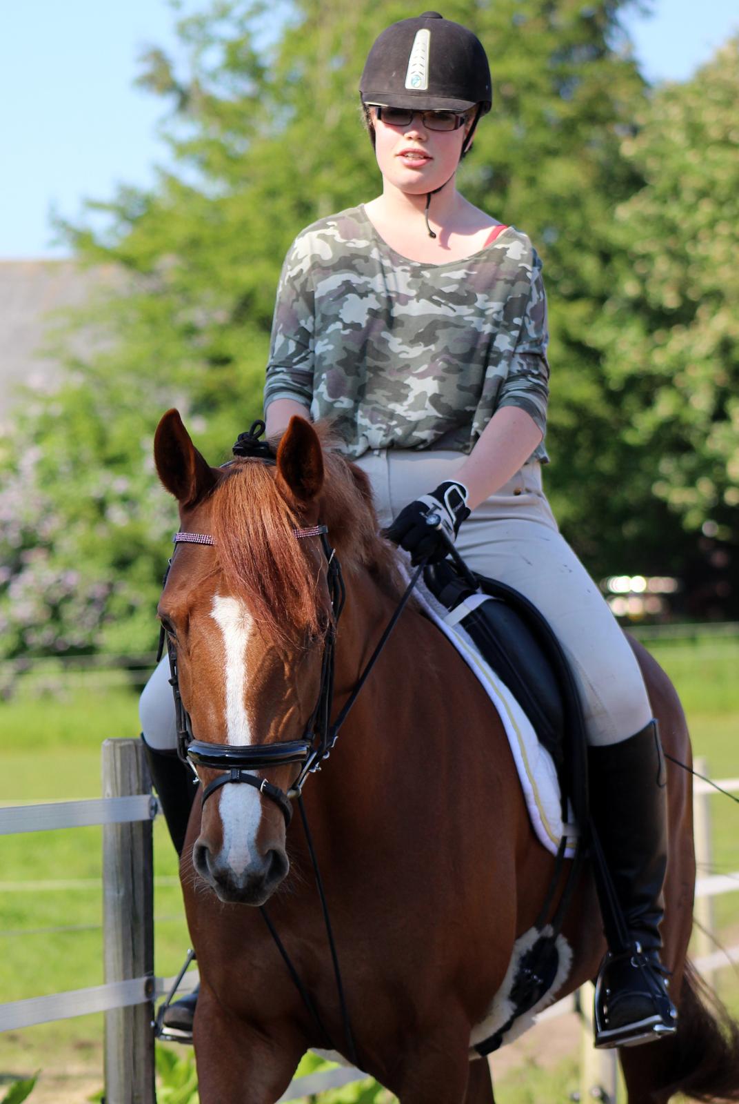 DSP Birkelund Lou Lou (Solgt) - dejlige pony billede 2