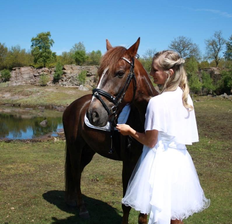 Anden særlig race Siegaard's Achilleus - de sagde du ALDRIG blev til noget, du mod beviste dem!... <3 billede 15