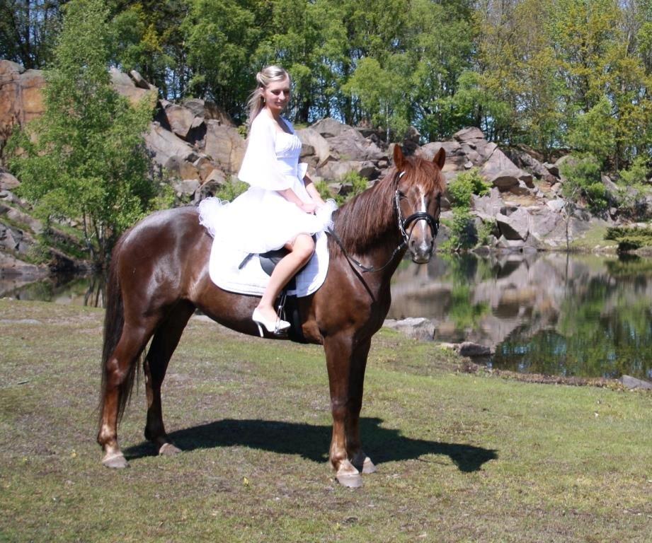 Anden særlig race Siegaard's Achilleus - verdens bedste gave! <3 billede 1