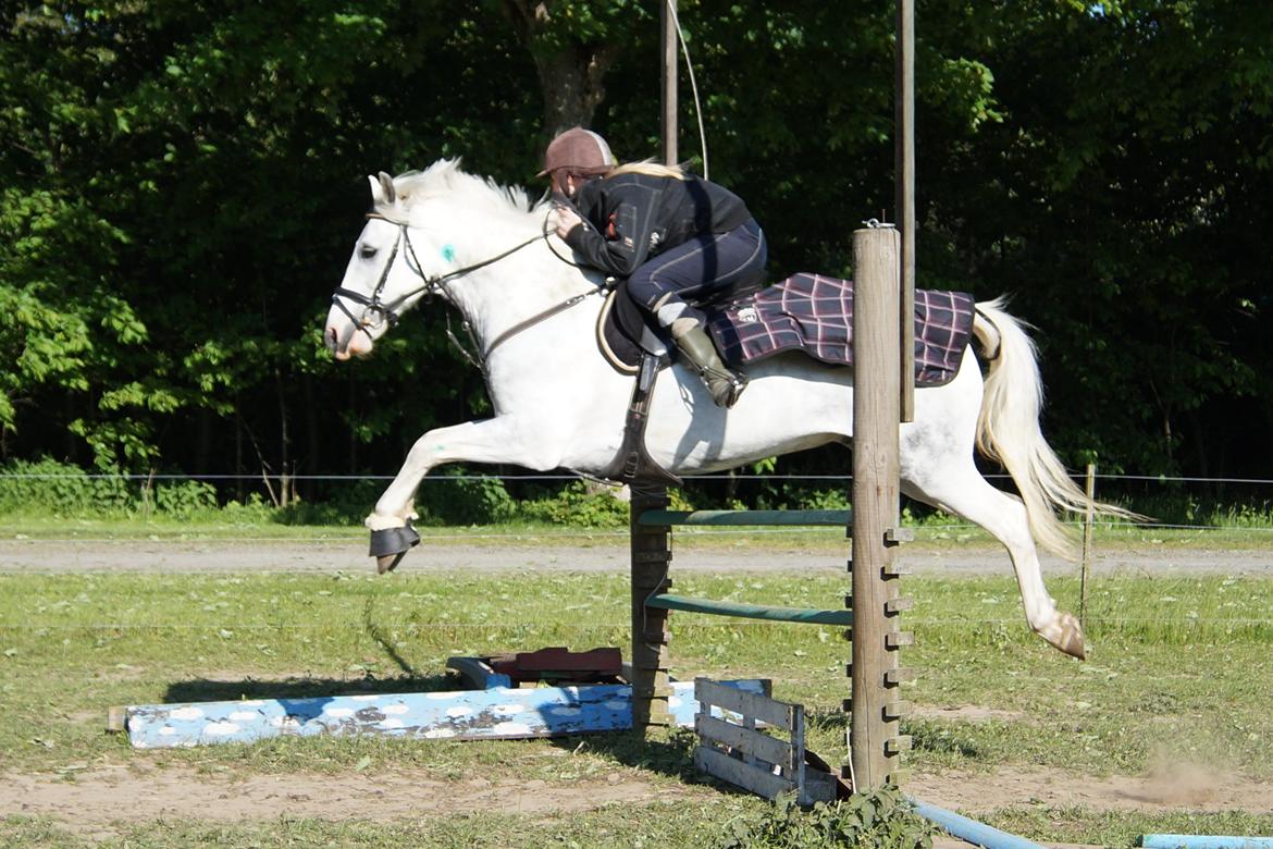 Anden særlig race Rico (nuller) <3 - vi kan flyve, selv med gummistøvler! <3 :D billede 16