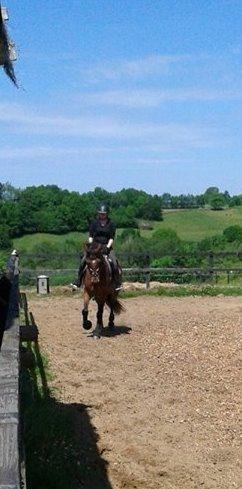 Frederiksborg Nytoftgaards Anastacia -  30.05.2014 Anastacia 3 år <3 billede 4