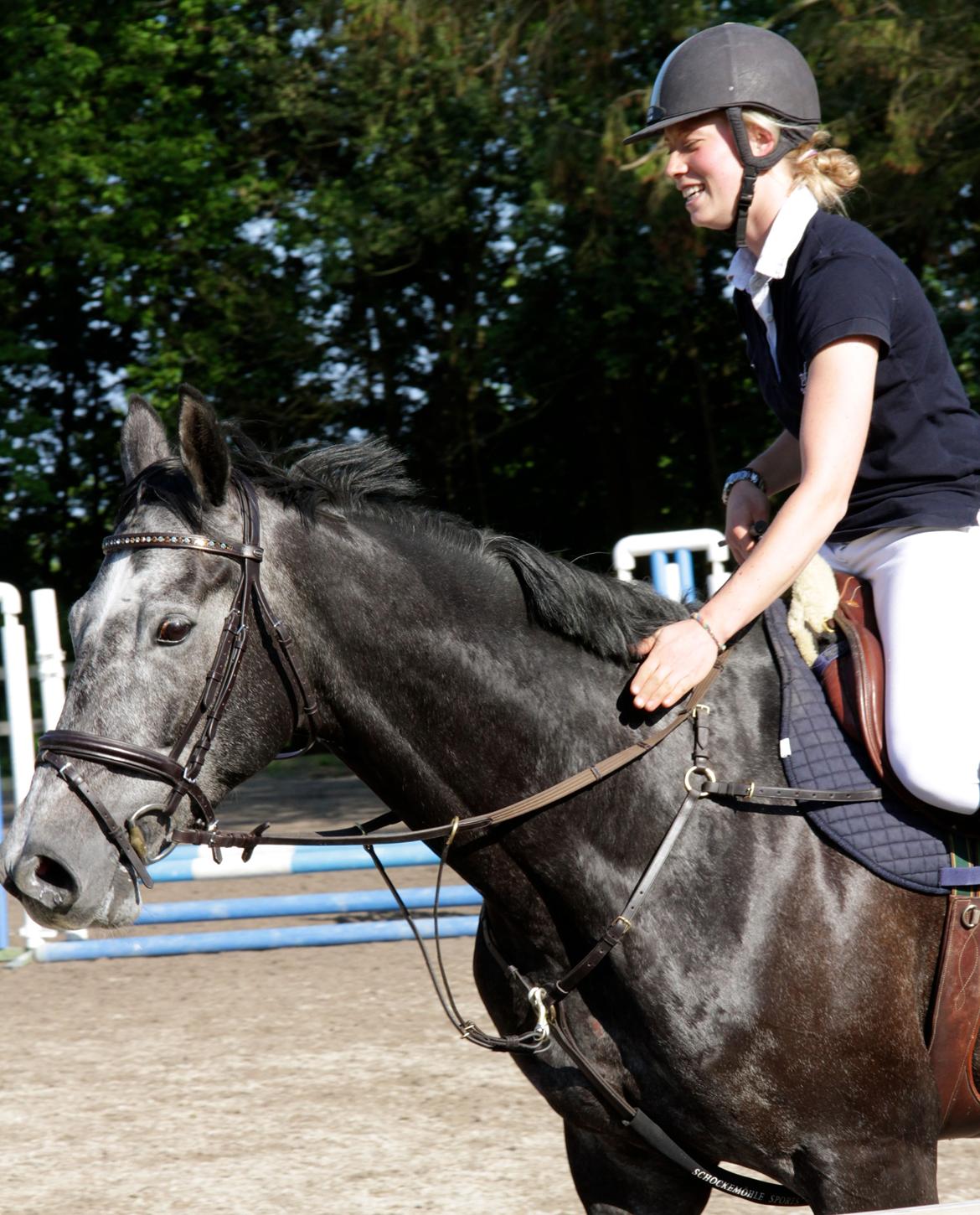 Holstener Schouwgaardens Quinto - Dygtig :) billede 14