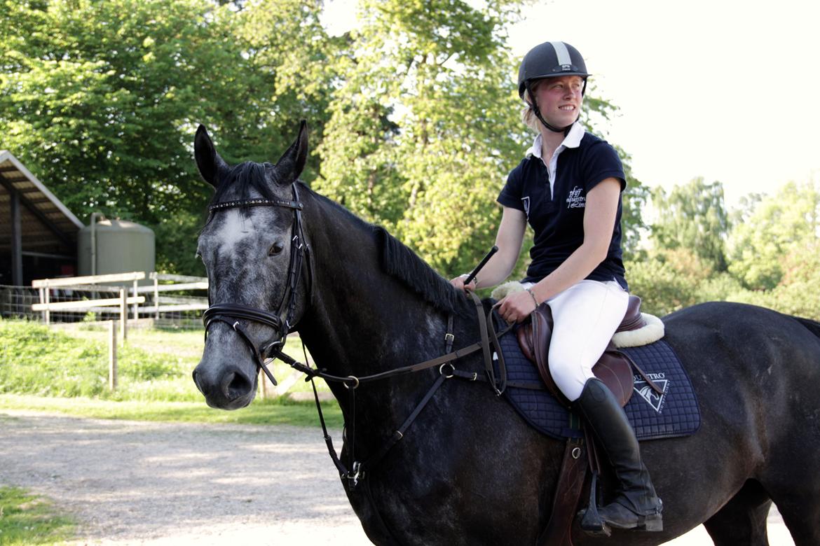 Holstener Schouwgaardens Quinto - Allerførste stævne, maj 2014 billede 13