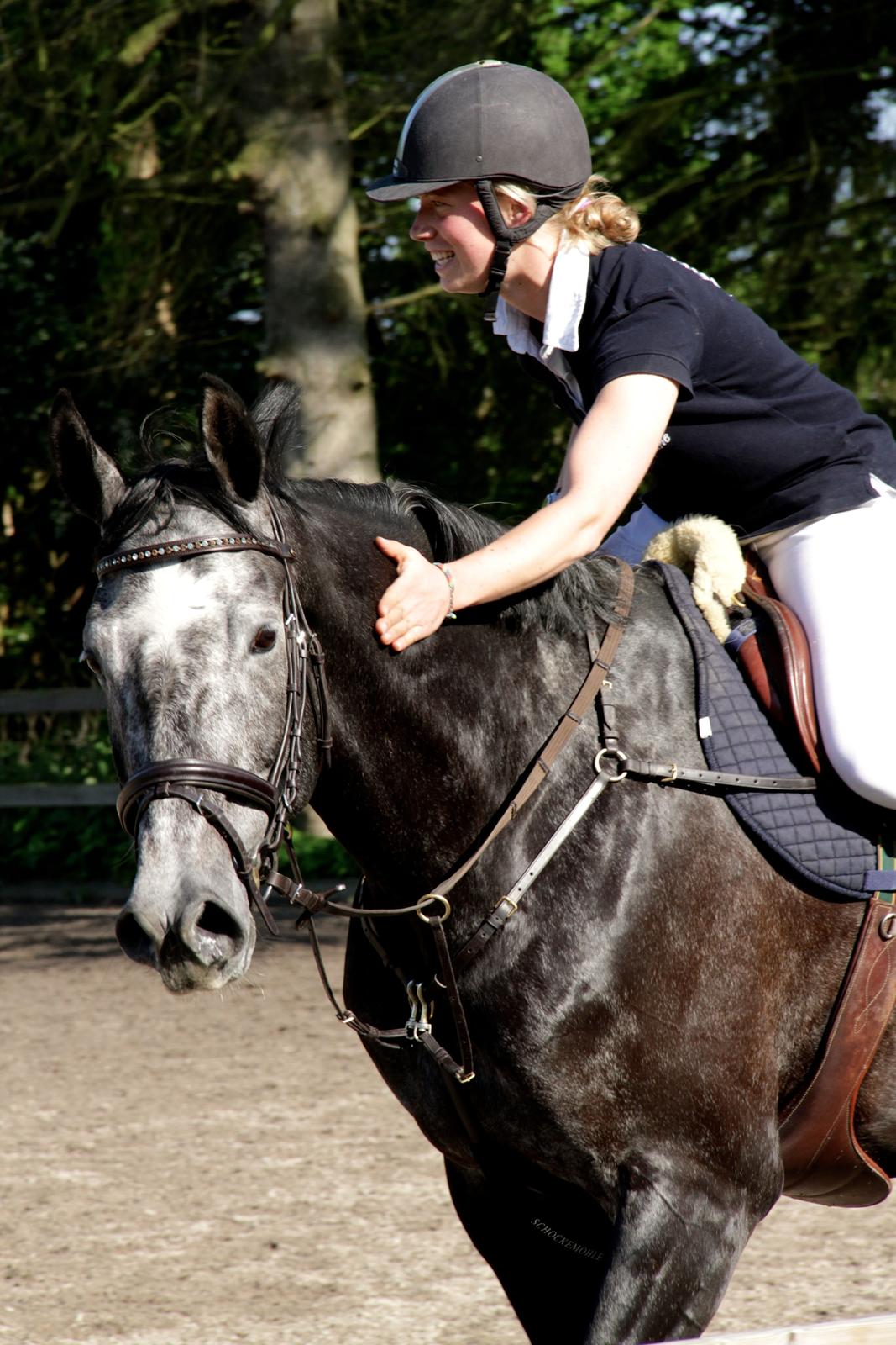 Holstener Schouwgaardens Quinto - Yderst tilfreds Q! billede 17