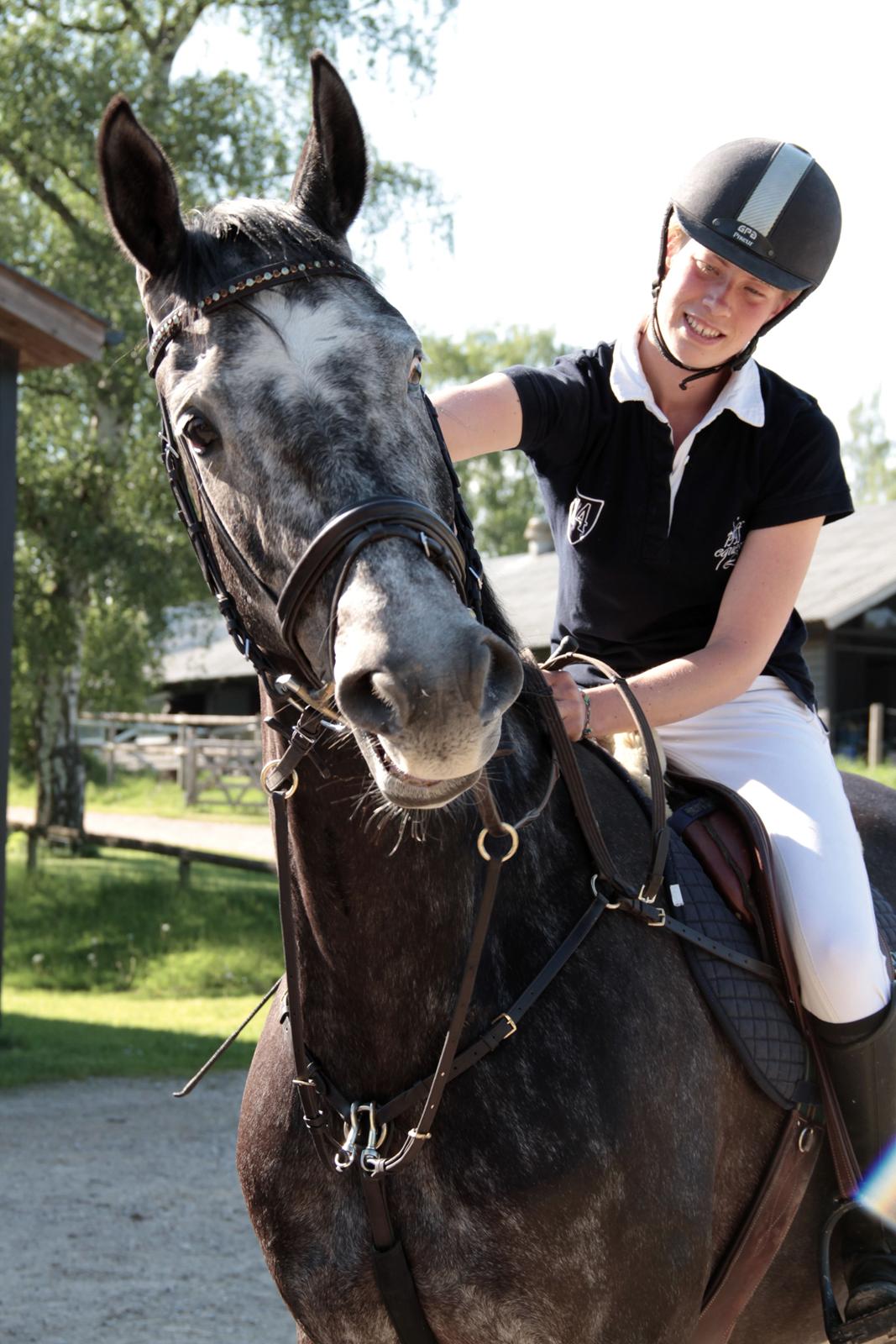 Holstener Schouwgaardens Quinto - Drengerøv :) billede 18