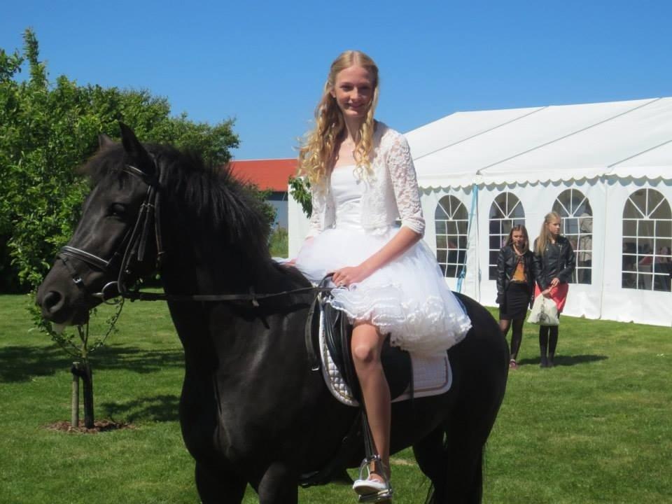 New Forest Egeballes Timian - Velkommen til Timians profil! - Konfirmation 19/05-14 <3 billede 2