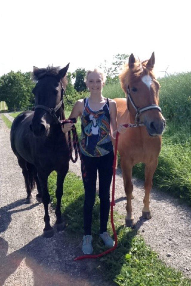 New Forest Egeballes Timian - Foinix og Timian. billede 10