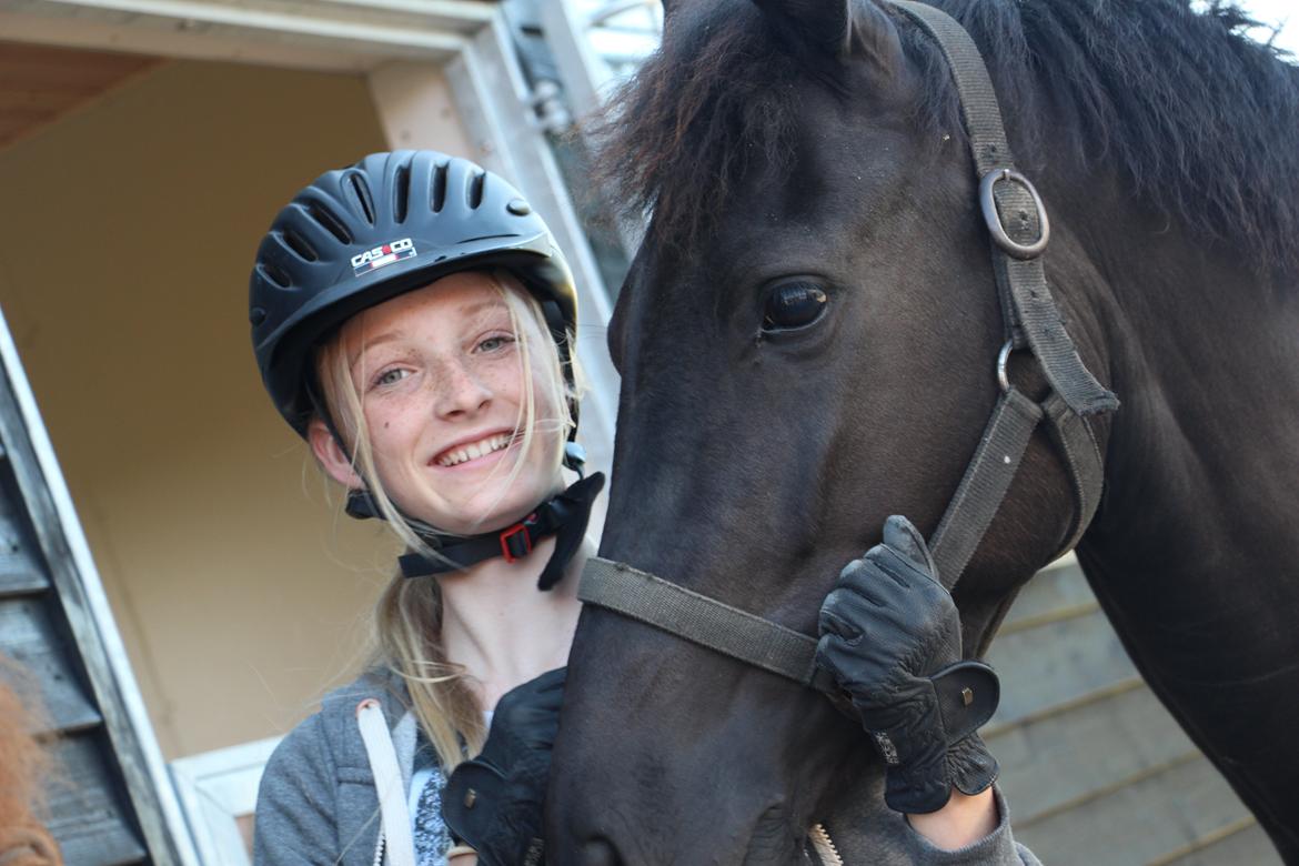 New Forest Egeballes Timian - Prinsesse <3 billede 17