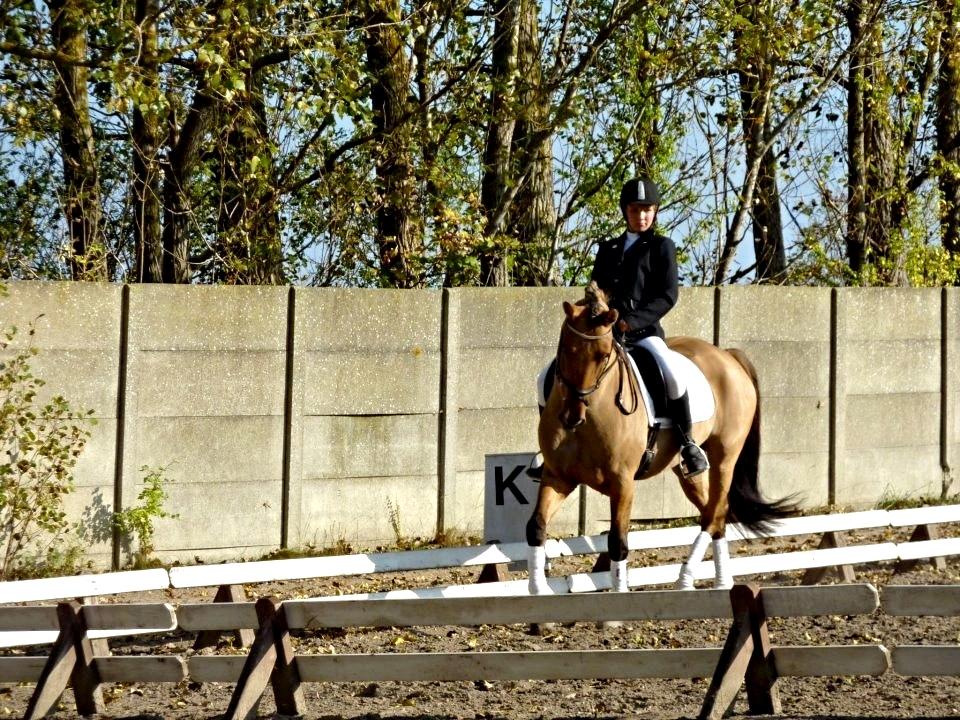 Anden særlig race Grønagergårds Ricki - LB2 - 2011 billede 33