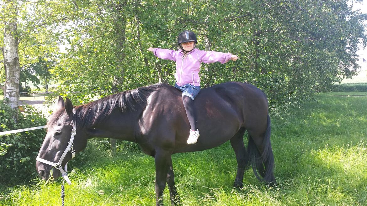 Anden særlig race Laika ( min prinsessen <3 ) død billede 20