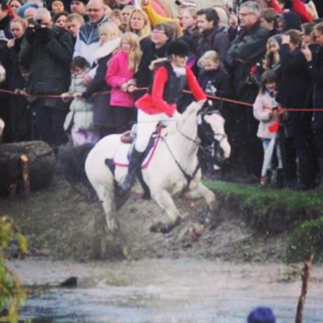 Irsk Sportspony Bobby - Igennem magasindammen - Hubertusjagt 2013 billede 8