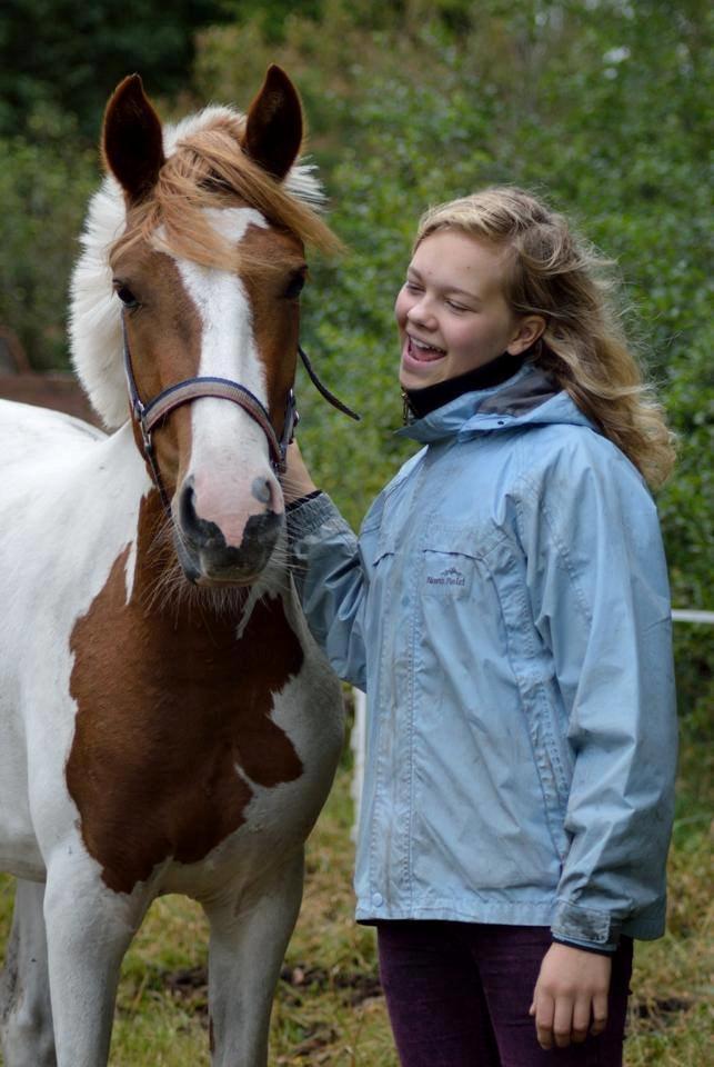 Pinto Savannah Breeze - Taget af Josefine Randrup Jensen. billede 6