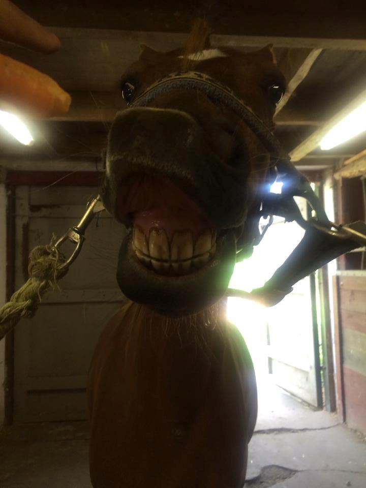 DSP Nakupenda. - Smiiiil!:D billede 4