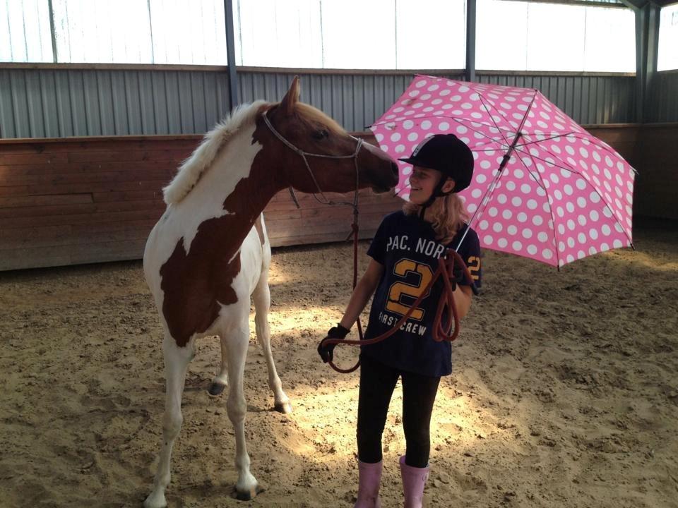 Pinto Savannah Breeze - Horsemanship billede 2