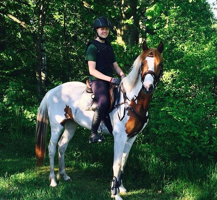 Pinto Savannah Breeze billede 8