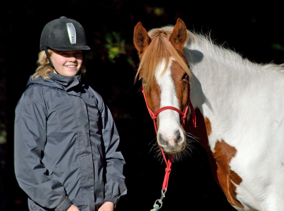 Pinto Savannah Breeze - Taget af Josefine Randrup Jensen. billede 10