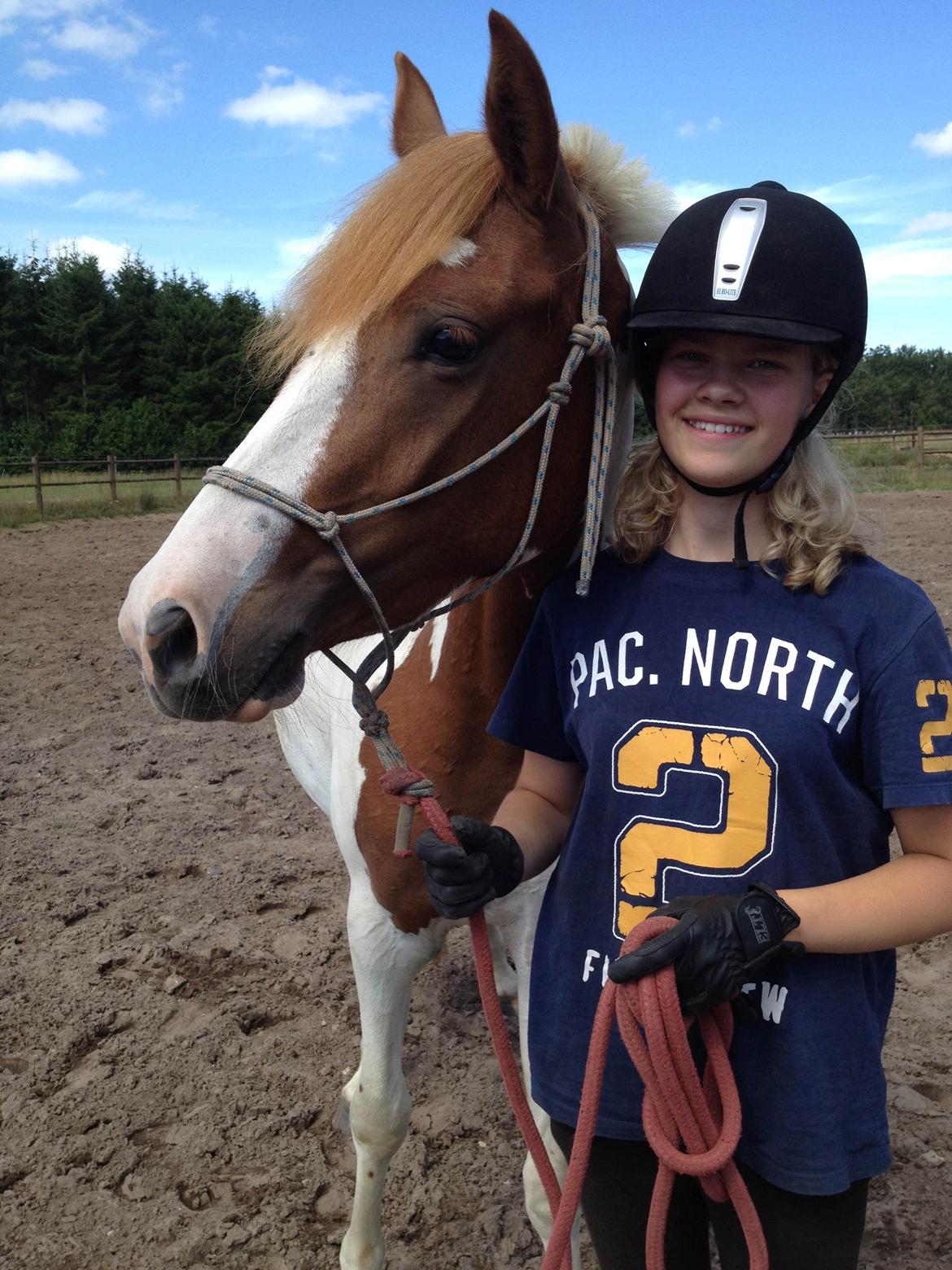 Pinto Savannah Breeze - Horsemanship billede 14