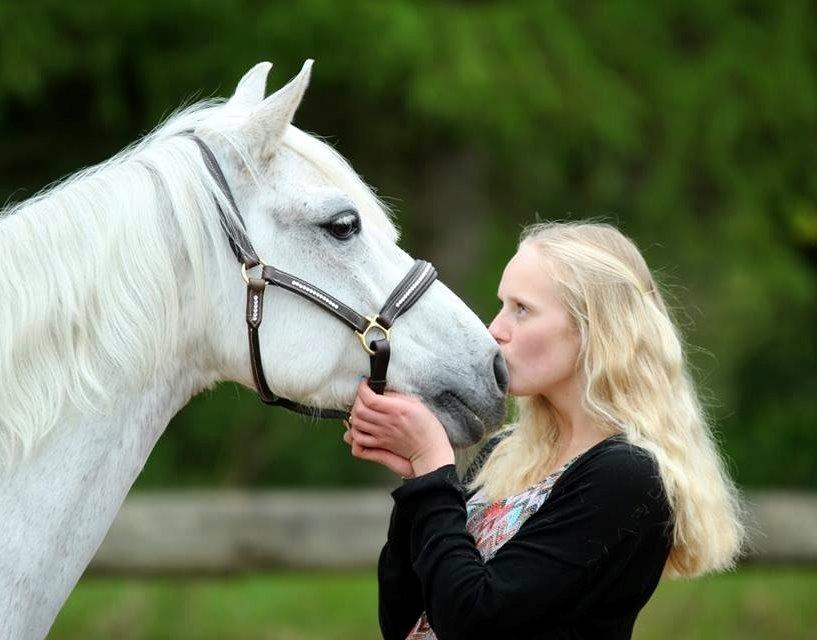 Welsh Pony (sec B) Lyngvejens Komet <3 - Elsker dig af hele mit hjerte! <3 billede 5