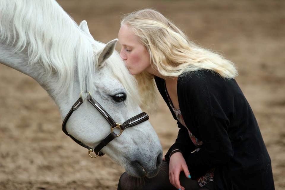 Welsh Pony (sec B) Lyngvejens Komet <3 - Elsker dig af hele mit hjerte! <3 billede 6