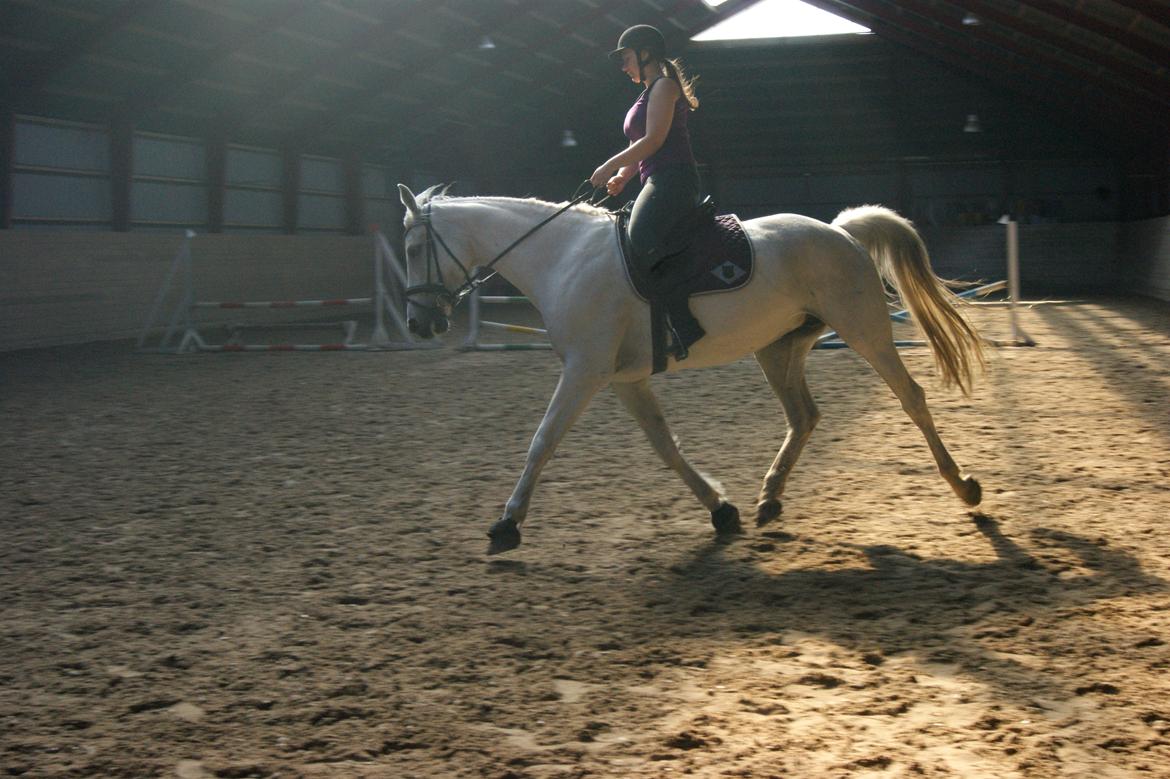 Anden særlig race Just My Luck (Lucky) - Forår 2014 billede 11