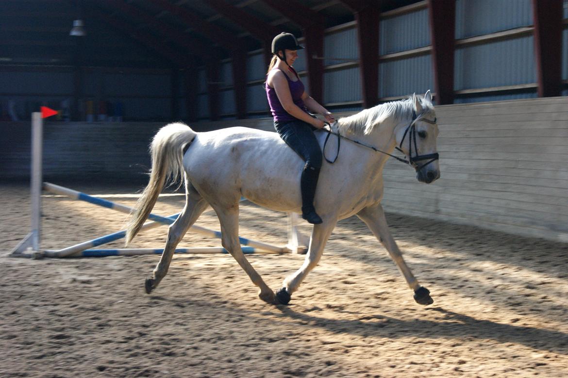 Anden særlig race Just My Luck (Lucky) - Forår 2014 billede 12