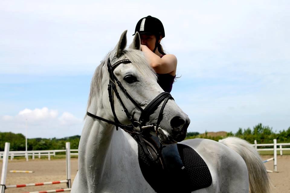 Anden særlig race Just My Luck (Lucky) - I må meget undskylde biddet :/ men det er en smule for stort samt har meget nemt ved at ryge halvvejs ud af munden... billede 13