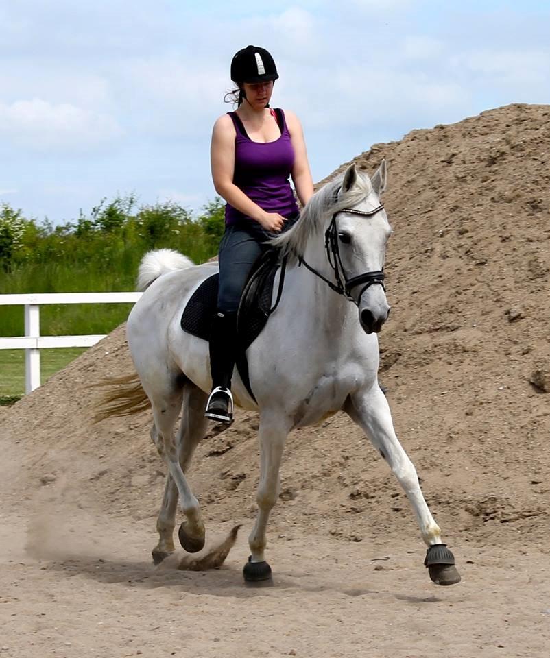 Anden særlig race Just My Luck (Lucky) - Sommer 2014 billede 14