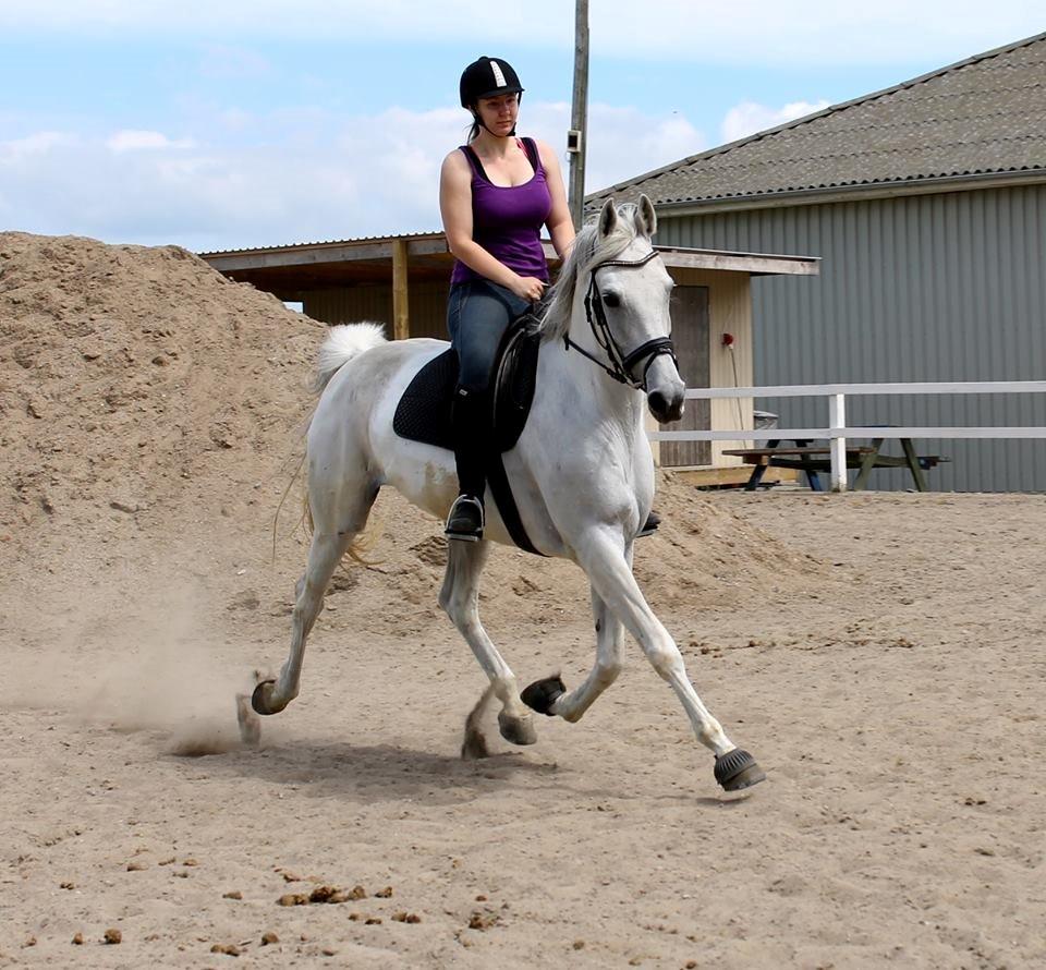 Anden særlig race Just My Luck (Lucky) - Sommer 2014 - Ingen ben på jorden! :O billede 15