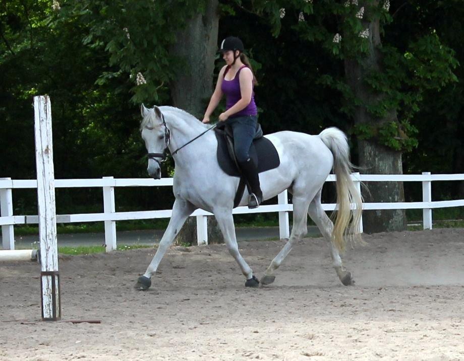 Anden særlig race Just My Luck (Lucky) - Sommer 2014 billede 16