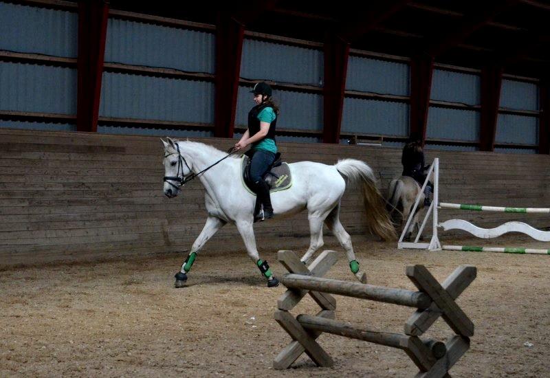 Anden særlig race Just My Luck (Lucky) - Forår 2014 billede 17