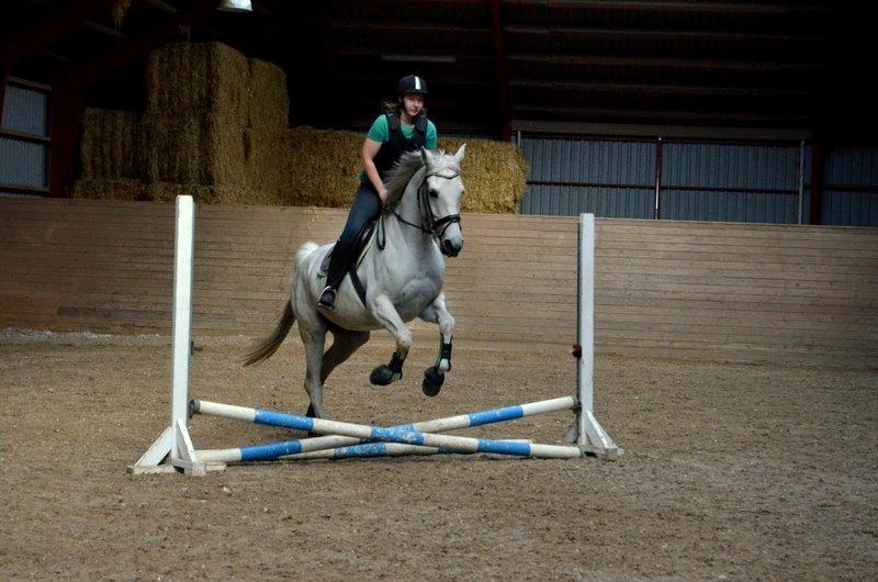 Anden særlig race Just My Luck (Lucky) - Forår 2014 billede 18