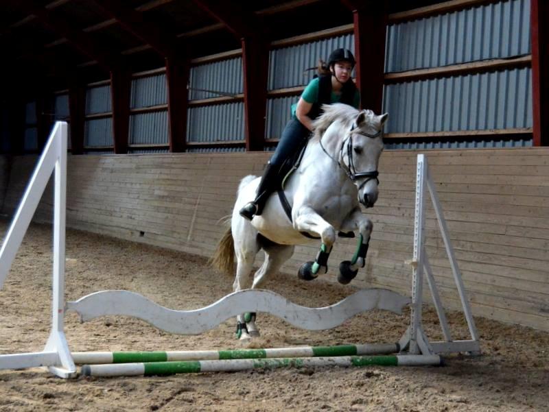 Anden særlig race Just My Luck (Lucky) - Forår 2014 billede 19