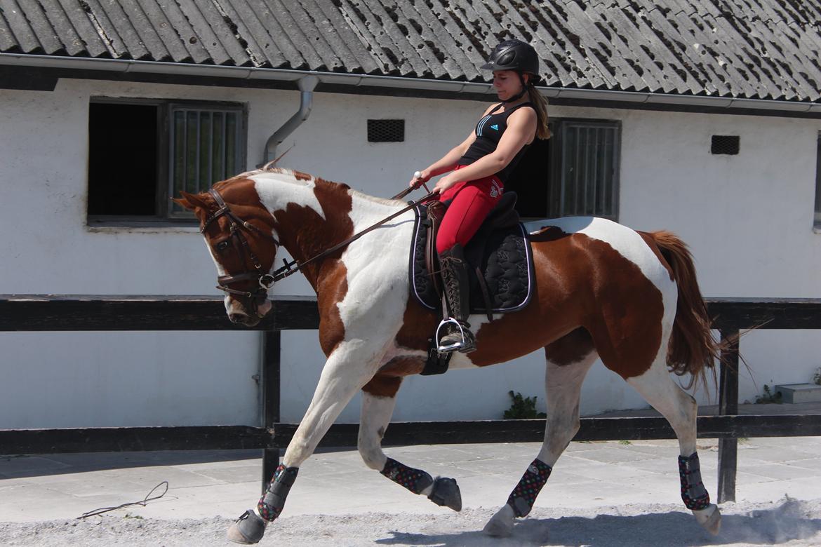 Anden særlig race Kielsgaardens Cirkeline billede 9