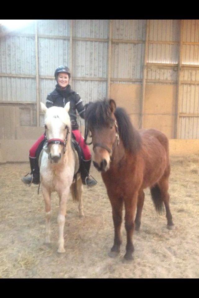 Islænder Stormur fra Birkemosegård - Storm og Lille ... ;) Lille 3 gang med rytter. ;) Marts 2014 billede 42