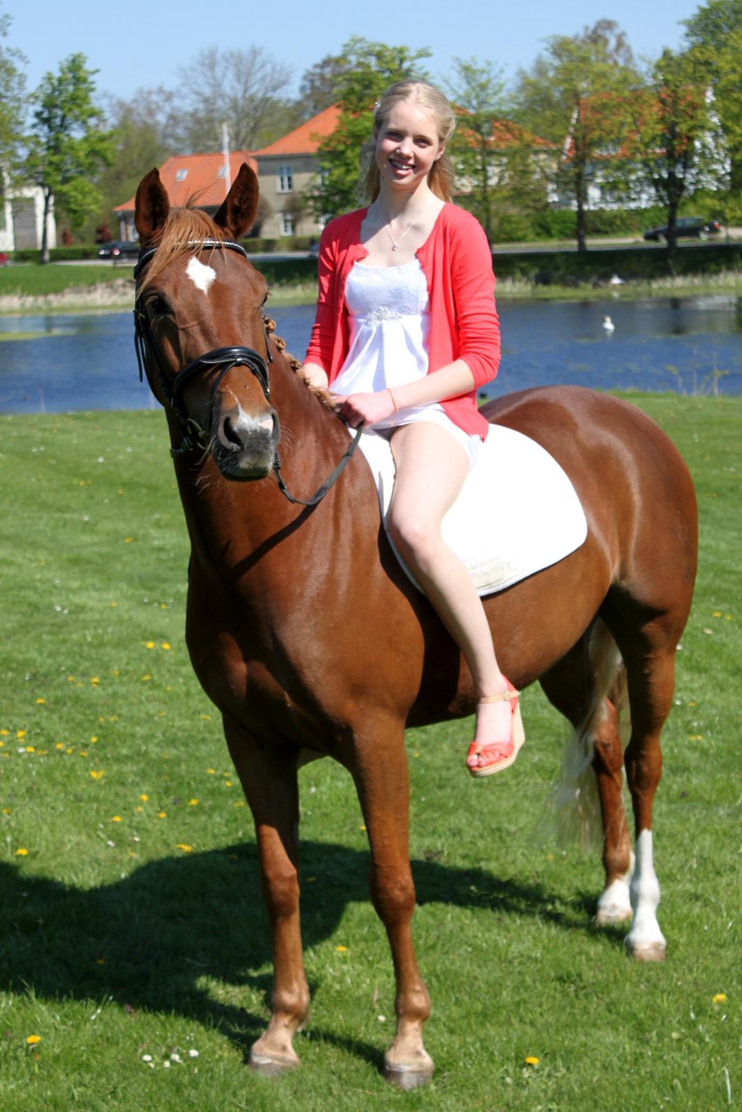 Tysk Sportspony Drambuie 9 *B-Pony* - Louise & Drambuie til Louise's konfirmation. April 2014. Foto: Mig billede 14