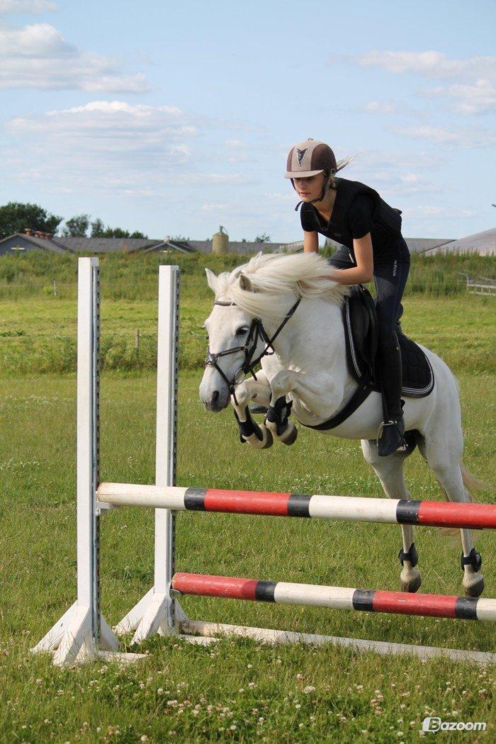 Anden særlig race Truska billede 21