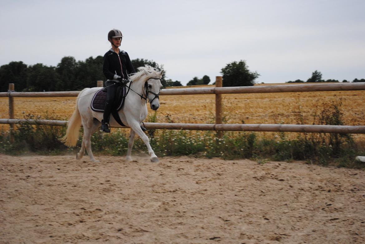 Anden særlig race Truska billede 24