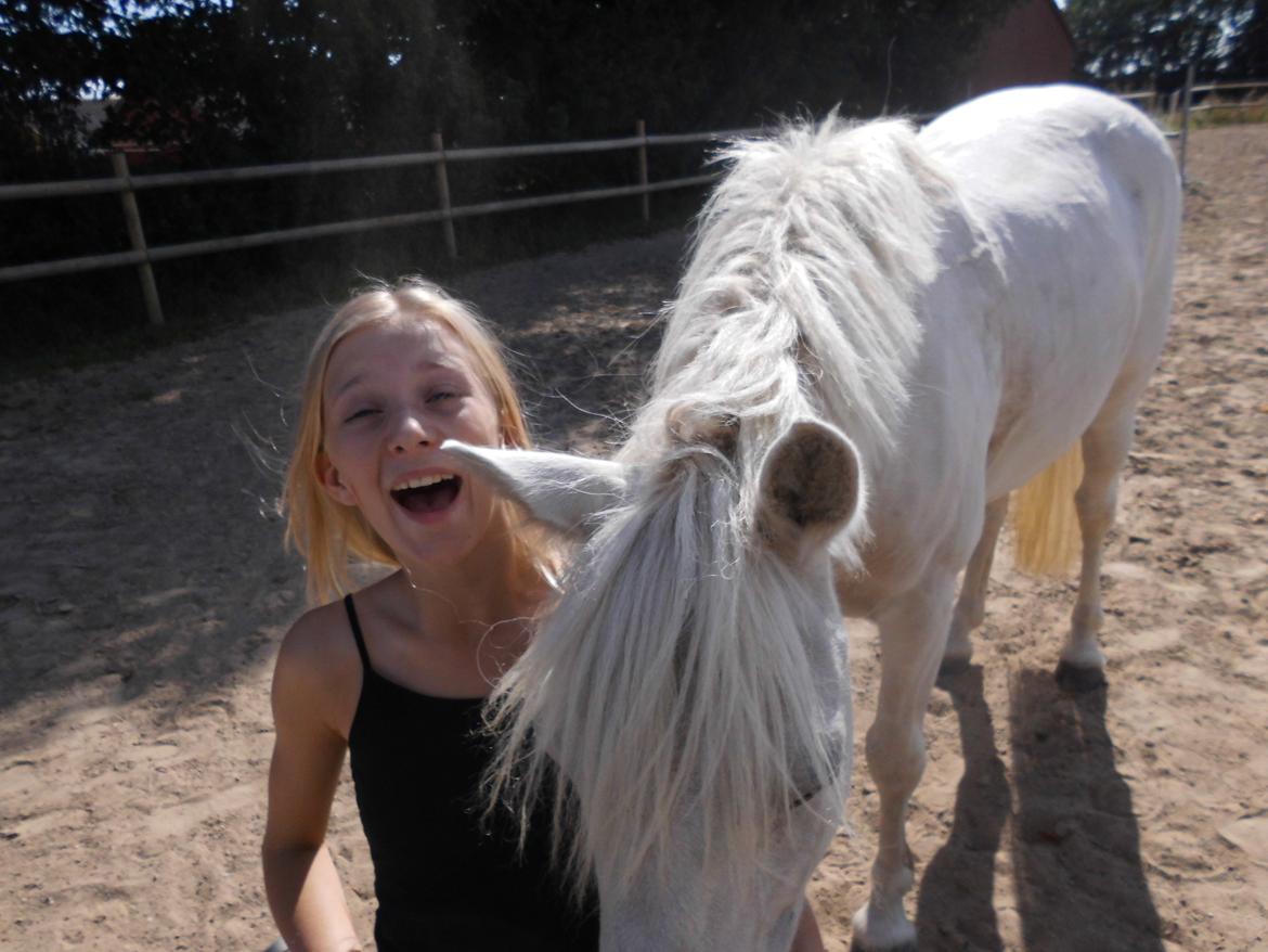 Anden særlig race Truska billede 25