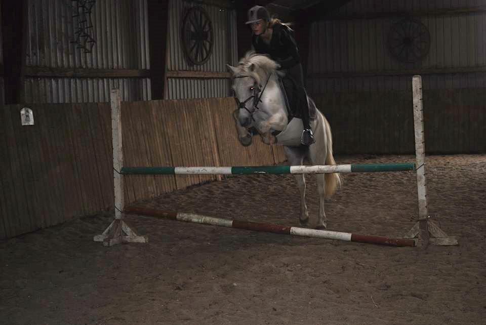 Anden særlig race Truska billede 27