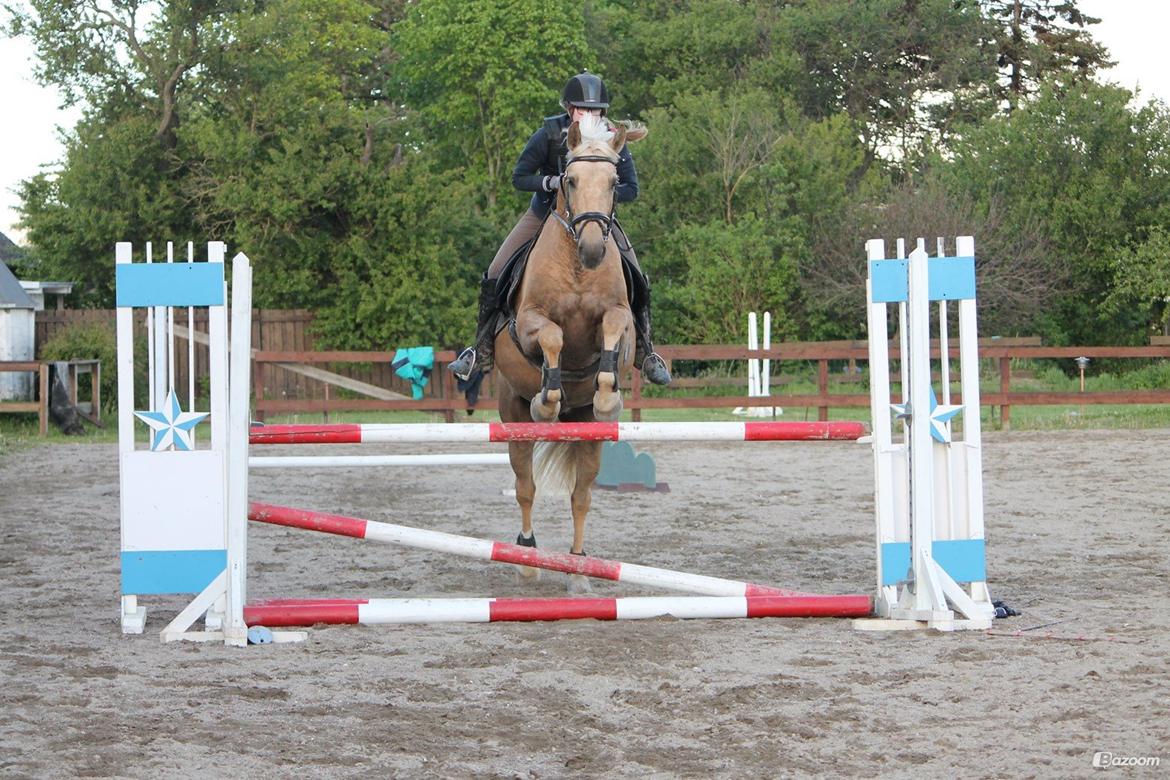 Palomino Happy Hour [DJ! <3] billede 8