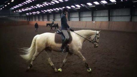 Palomino Happy Hour [DJ! <3] billede 14