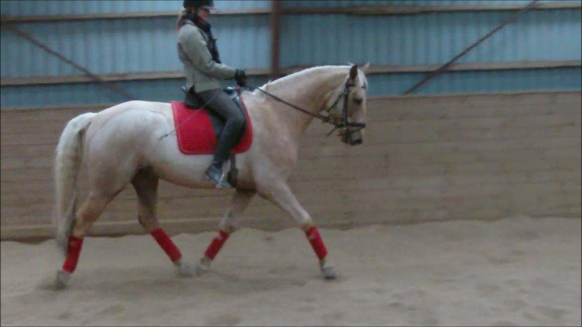 Palomino Happy Hour [DJ! <3] billede 10