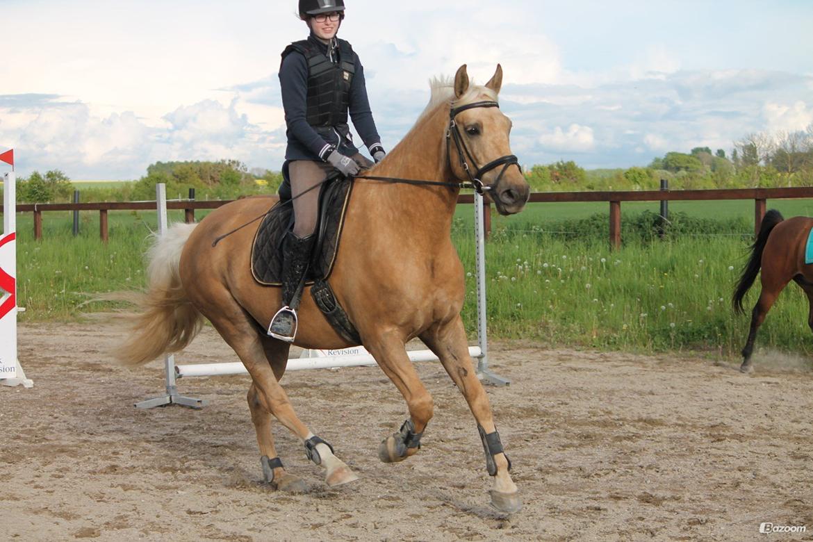 Palomino Happy Hour [DJ! <3] billede 22