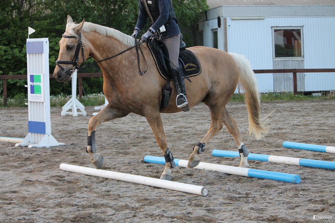 Palomino Happy Hour [DJ! <3] billede 30