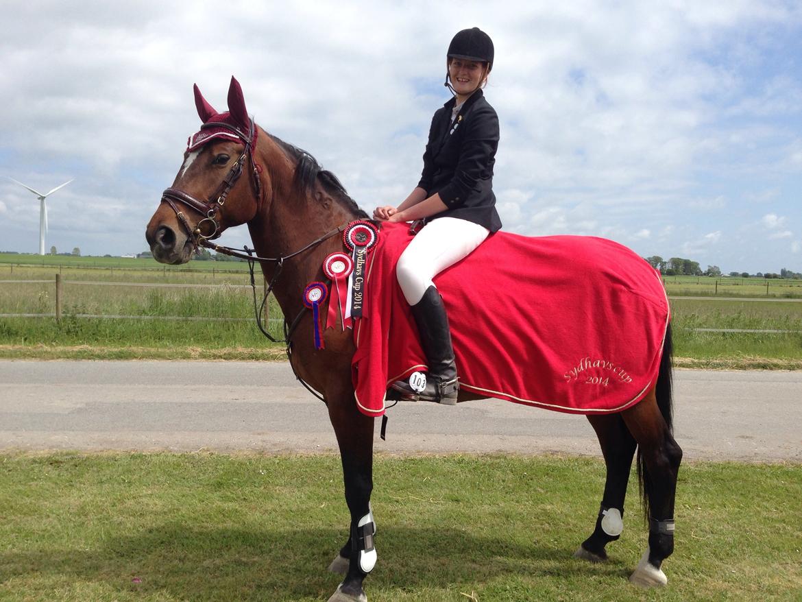 Ungarnsk Varmblod  Lili - VINDER AF SYDHAVS CUP 2014! billede 14